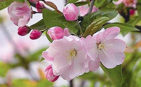 ���ĵ�����500��3ƪ