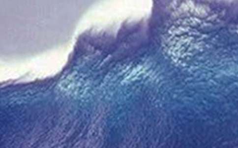 �麣�[����I��������