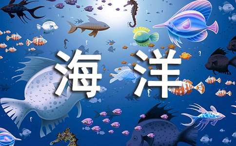 與海洋動物和平相處作文