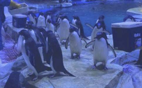 ���B���󹫈@����