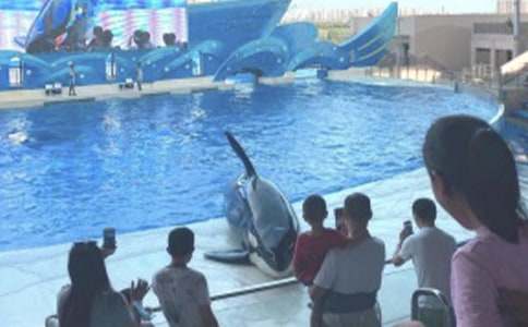 游大連海洋公園作文(精選3篇)