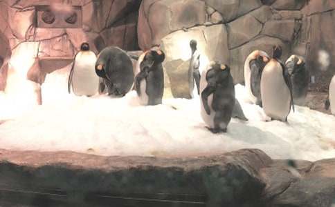 ���B�O�غ��󹫈@����