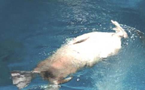 ���B���󹫈@����(11ƪ)