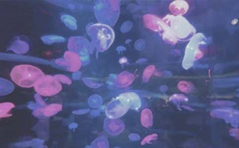 ���B�O�غ��󹫈@��������