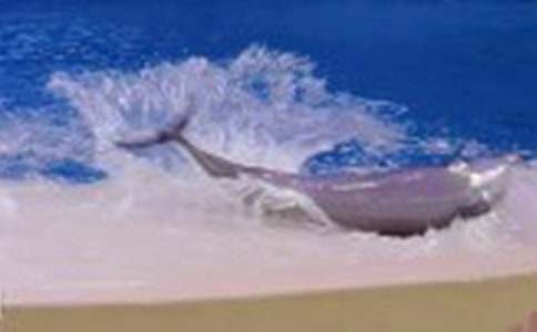 小海豚童話故事作文