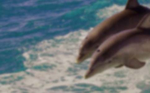 �P(gu��n)�ں��������600�֣�ͨ��5ƪ��