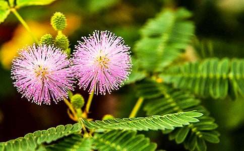 �^�캬�߲݃�(y��u)������