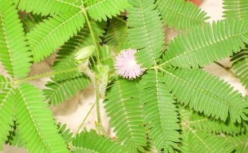 õ��ͺ��߲�ͯԒ����