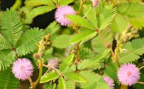 ���߲�(���P(gu��n)�ԏ�(qi��ng)���^�졢�������������)