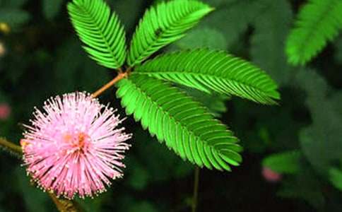 �^�캬�߲ݔ�������