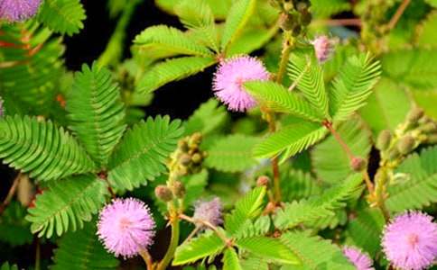 �^�캬�߲����ġ����]��