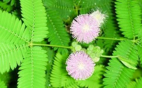 �^�캬�߲݃�(y��u)������300��