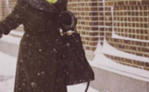 寒潮來啦初中滿分作文范文