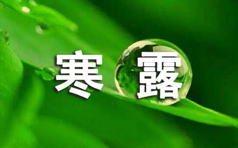 關(guān)于寒露養(yǎng)生諺語集錦