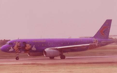 開往2019的航班500字作文