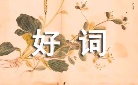 堆雪人好詞好句作文