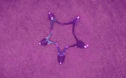 我的一個(gè)暴力好友五年級(jí)作文