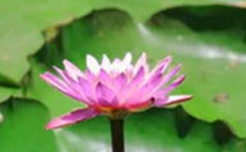 ���ºɻ���ˮ�r���꼉����