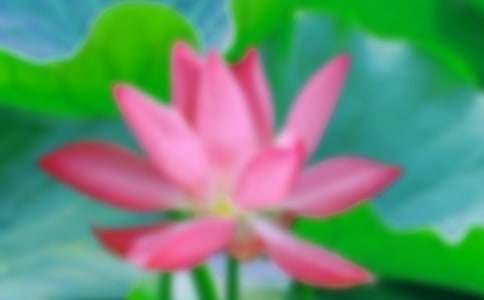 �x�ɻ��и�����