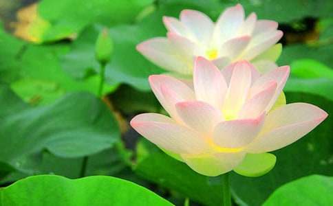 �P(gu��n)�ںɻ��Ľ�����������