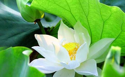 ���꼉(j��)��(c��)�ɻ��̌W(xu��)��˼