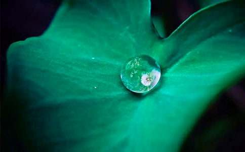 ���~�A�A�̌W(xu��)��˼