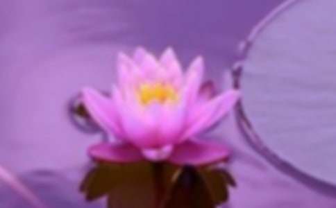 ���P(gu��n)�������C���ąR����ƪ