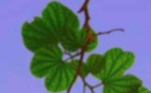 �P(gu��n)�ں��C������ȫ֮�ҵ�����