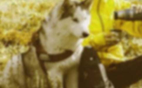 精選文明和諧作文合集7篇