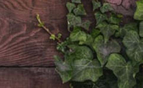 以和諧為話題的作文范文