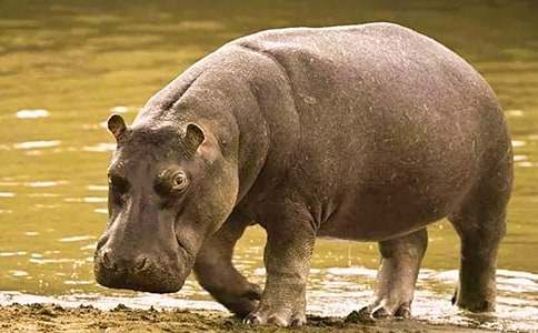 ���R�ϰ��c��؂�������꼉(j��)ͯԒ(hu��)����