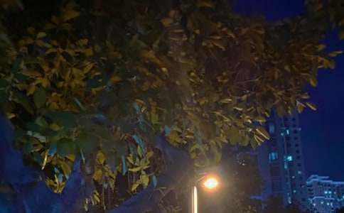 �挦(du��)��ҹ���������мҵ�΢������