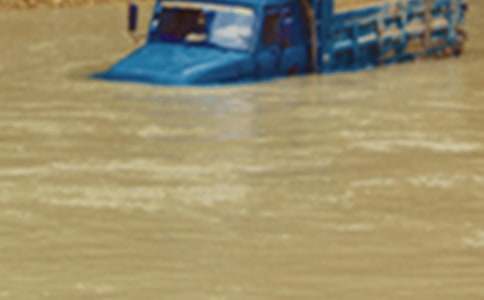 今年的洪水作文