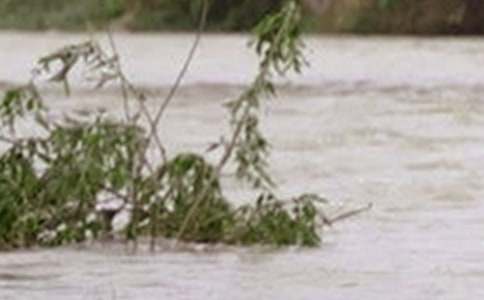 洪水作文600字(通用21篇)