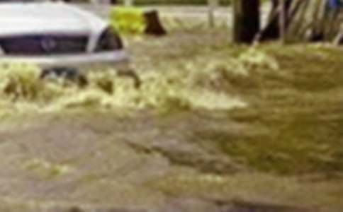 洪水中的爸爸作文