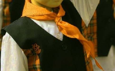 紅領巾心向黨優(yōu)秀作文選登