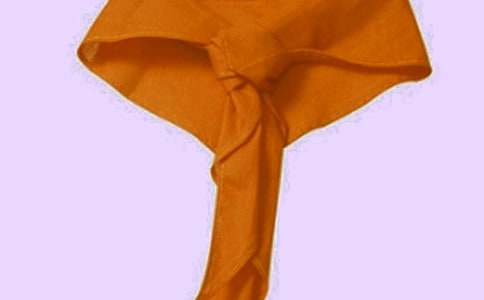 紅領(lǐng)巾心向黨九年級(jí)作文