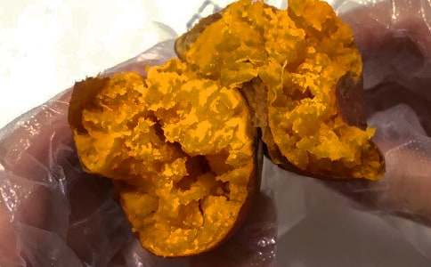 �t������600����ƪ