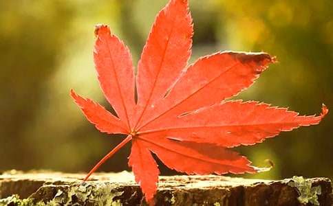 ���x��ɽ�t�~����300��3ƪ