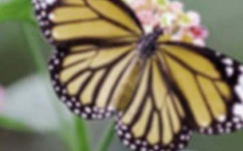 �������������ģ����x46ƪ��