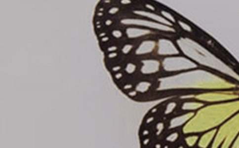 ���ĺ���ͯԒ���ģ�ͨ��20ƪ��