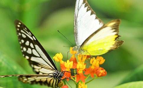 (���x)����ͯԒ������5ƪ