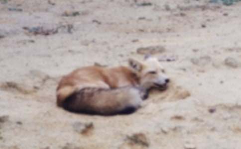 �P�ں�؂ͯԒ����600��8ƪ