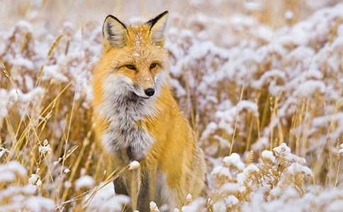 ��(sh��)�õĺ�؂ͯԒ����600��