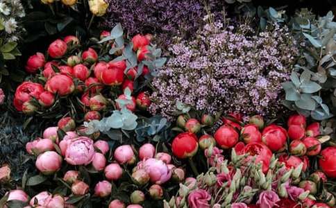 ��������600����ƪ