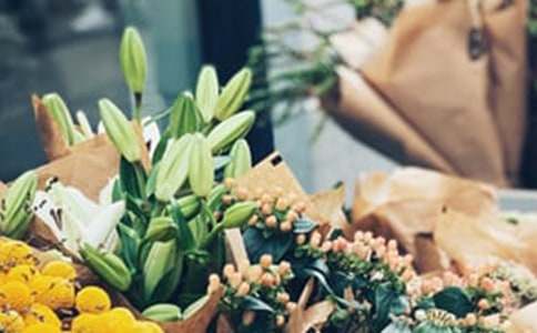 ��������600��7ƪ