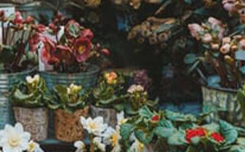 花店作文300字4篇