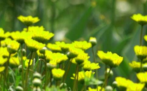 �_��ӛ����̎�Ļ������ĺϼ�10ƪ