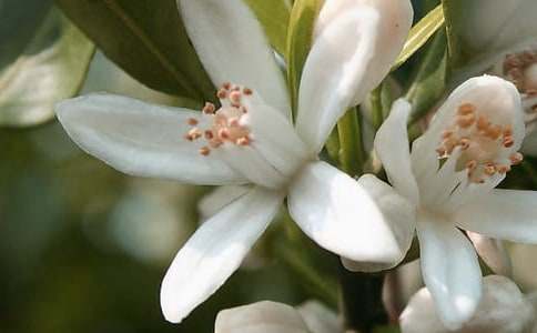 �_(k��i)��ӛ����̎�Ļ���-��������