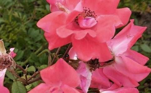 �P(gu��n)�ڰ�ȫ�����ģ����W(w��ng)�j(lu��)�������ɵĻ���